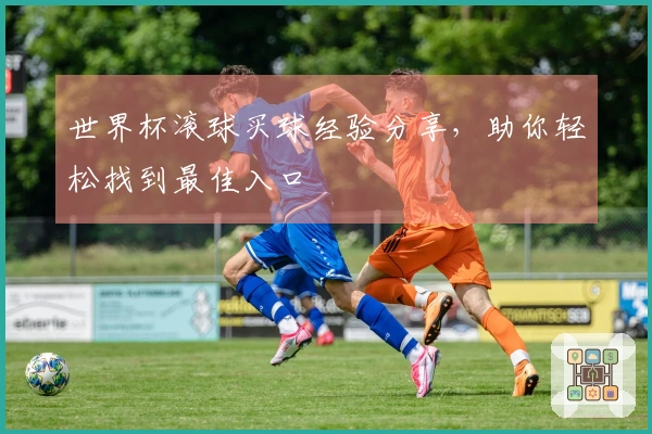 世界杯滚球买球经验分享，助你轻松找到最佳入口