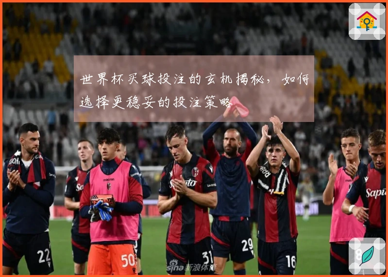 世界杯买球投注的玄机揭秘，如何选择更稳妥的投注策略