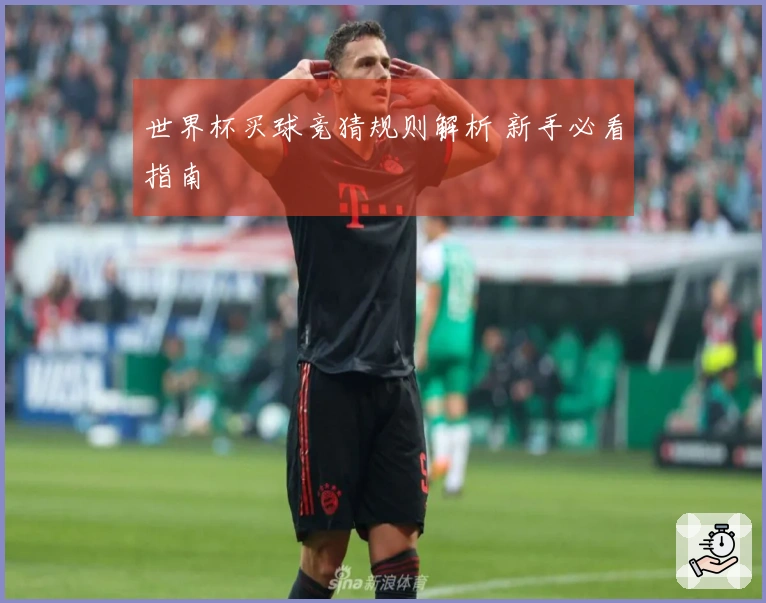 世界杯买球竞猜规则解析 新手必看指南