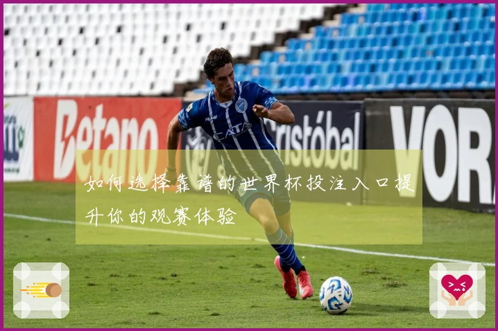 如何选择靠谱的世界杯投注入口提升你的观赛体验