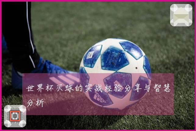 世界杯买球的实战经验分享与智慧分析