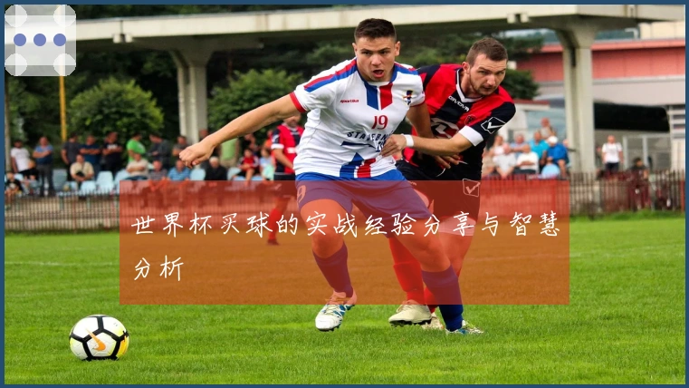 世界杯买球的实战经验分享与智慧分析