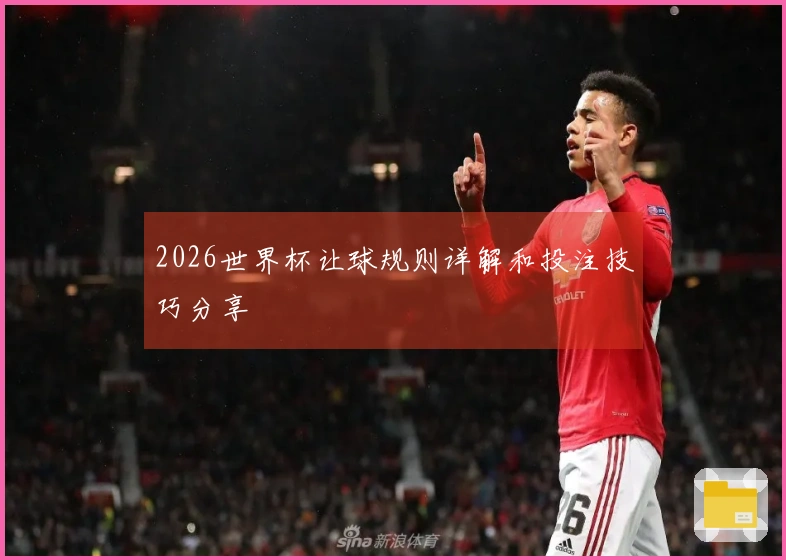 2026世界杯让球规则详解和投注技巧分享